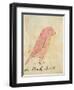 The Pink Bird-Edward Lear-Framed Giclee Print