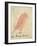 The Pink Bird-Edward Lear-Framed Giclee Print