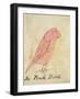 The Pink Bird-Edward Lear-Framed Giclee Print