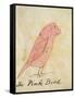 The Pink Bird-Edward Lear-Framed Stretched Canvas