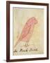 The Pink Bird-Edward Lear-Framed Giclee Print