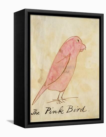 The Pink Bird-Edward Lear-Framed Stretched Canvas