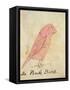 The Pink Bird-Edward Lear-Framed Stretched Canvas