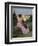 The Pink Dress, or View of Castelnau-Le-Lez, Herault, 1864-Frederic Bazille-Framed Giclee Print