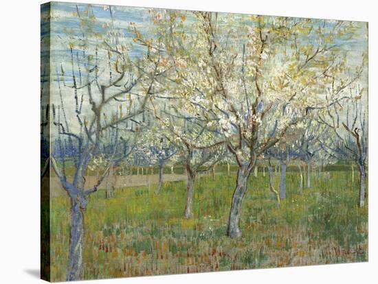 The Pink Orchard, 1888-Vincent van Gogh-Stretched Canvas