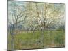 The Pink Orchard, 1888-Vincent van Gogh-Mounted Giclee Print