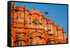 The Pink Palace In Jaipur, India-Lindsay Daniels-Framed Stretched Canvas