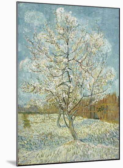 The Pink Peach Tree, 1888-Vincent van Gogh-Mounted Giclee Print