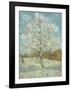 The Pink Peach Tree, 1888-Vincent van Gogh-Framed Giclee Print