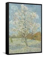 The Pink Peach Tree, 1888-Vincent van Gogh-Framed Stretched Canvas