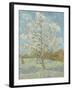 The Pink Peach Tree, 1888-Vincent van Gogh-Framed Giclee Print