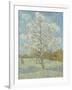 The Pink Peach Tree, 1888-Vincent van Gogh-Framed Giclee Print