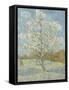 The Pink Peach Tree, 1888-Vincent van Gogh-Framed Stretched Canvas