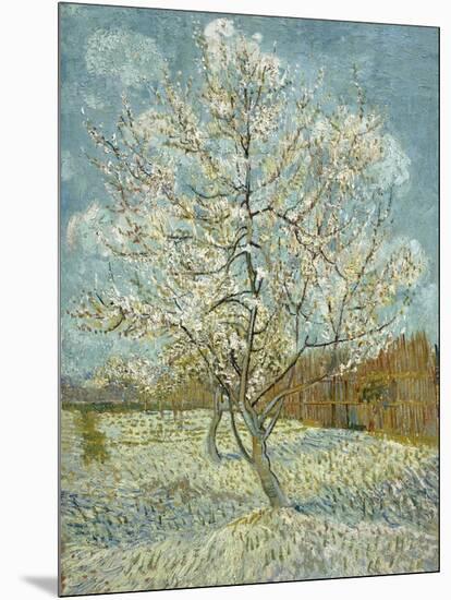 The Pink Peach Tree, 1888-Vincent van Gogh-Mounted Giclee Print