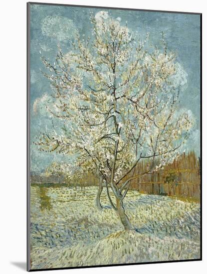 The Pink Peach Tree, 1888-Vincent van Gogh-Mounted Premium Giclee Print