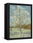 The Pink Peach Tree, 1888-Vincent van Gogh-Framed Stretched Canvas