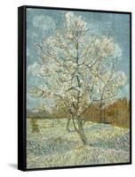 The Pink Peach Tree, 1888-Vincent van Gogh-Framed Stretched Canvas