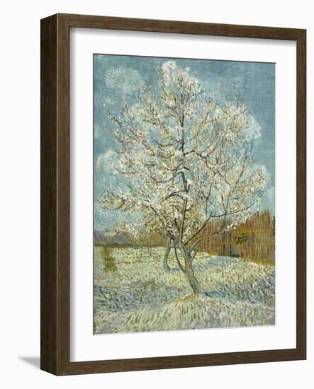 The Pink Peach Tree, 1888-Vincent van Gogh-Framed Giclee Print