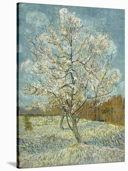 The Pink Peach Tree. Arles, April-May 1888-Vincent van Gogh-Stretched Canvas