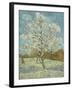 The Pink Peach Tree. Arles, April-May 1888-Vincent van Gogh-Framed Giclee Print