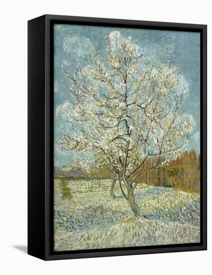 The Pink Peach Tree. Arles, April-May 1888-Vincent van Gogh-Framed Stretched Canvas