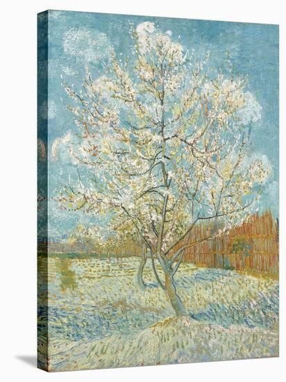 The Pink Peach Tree-Vincent Van Gogh-Stretched Canvas