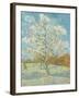 The Pink Peach Tree-Vincent Van Gogh-Framed Giclee Print