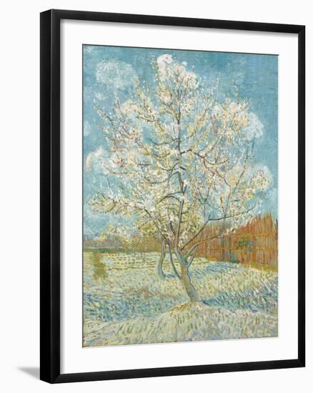 The Pink Peach Tree-Vincent Van Gogh-Framed Giclee Print