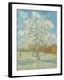 The Pink Peach Tree-Vincent Van Gogh-Framed Giclee Print