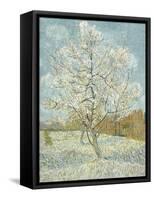 The Pink Peach Tree-Vincent van Gogh-Framed Stretched Canvas