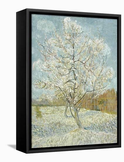 The Pink Peach Tree-Vincent van Gogh-Framed Stretched Canvas