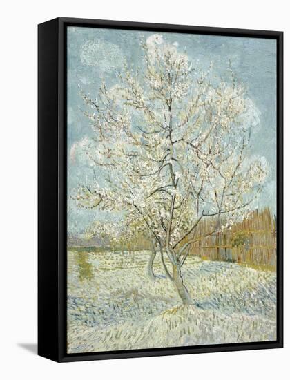 The Pink Peach Tree-Vincent van Gogh-Framed Stretched Canvas