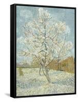 The Pink Peach Tree-Vincent van Gogh-Framed Stretched Canvas