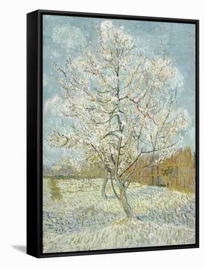 The Pink Peach Tree-Vincent van Gogh-Framed Stretched Canvas