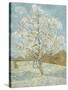 The Pink Peach Tree-Vincent van Gogh-Stretched Canvas