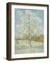 The Pink Peach Tree-Vincent van Gogh-Framed Premium Giclee Print