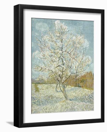 The Pink Peach Tree-Vincent van Gogh-Framed Giclee Print