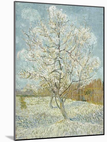 The Pink Peach Tree-Vincent van Gogh-Mounted Giclee Print