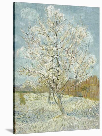 The Pink Peach Tree-Vincent van Gogh-Stretched Canvas