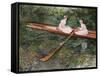 The Pink Rowing Boat-Claude Monet-Framed Stretched Canvas