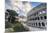 The pink sky at sunrise frames the ancient Colosseum (Flavian Amphitheatre), UNESCO World Heritage -Roberto Moiola-Mounted Premium Photographic Print