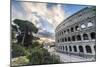 The pink sky at sunrise frames the ancient Colosseum (Flavian Amphitheatre), UNESCO World Heritage -Roberto Moiola-Mounted Photographic Print