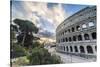 The pink sky at sunrise frames the ancient Colosseum (Flavian Amphitheatre), UNESCO World Heritage -Roberto Moiola-Stretched Canvas