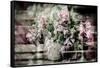 The Pinks-Valda Bailey-Framed Stretched Canvas