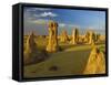 The Pinnacle Desert, Nambung National Park Near Perth, Western Australia-Gavin Hellier-Framed Stretched Canvas