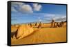 The Pinnacle Desert, Western Australia-NoraC-Framed Stretched Canvas