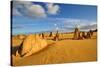 The Pinnacle Desert, Western Australia-NoraC-Stretched Canvas