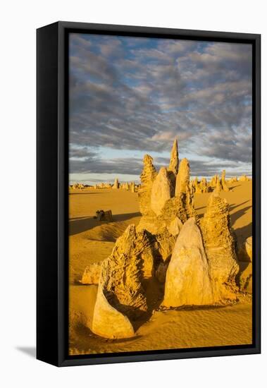 The Pinnacles Limestone Formations at Sunset Contained-Michael Runkel-Framed Stretched Canvas