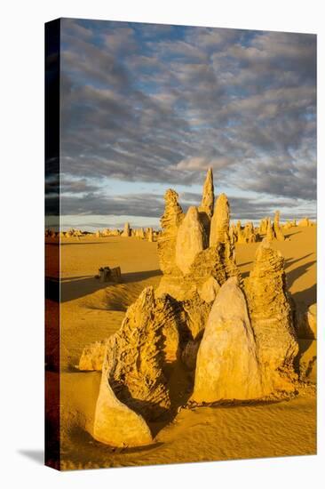 The Pinnacles Limestone Formations at Sunset Contained-Michael Runkel-Stretched Canvas