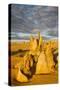 The Pinnacles Limestone Formations at Sunset Contained-Michael Runkel-Stretched Canvas